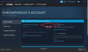 عبارت Add funds to your steam wallet را انتخاب کنید.