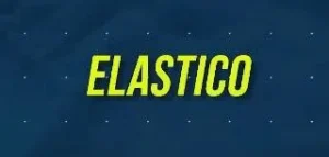 ELASTICO