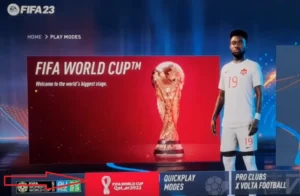 Fifa world cup