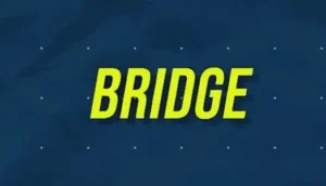 BRIDGE